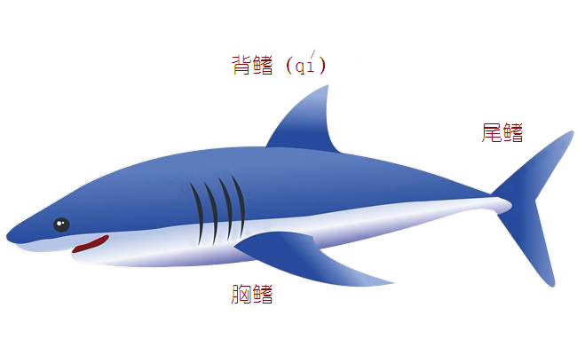 力強(qiáng)環(huán)保